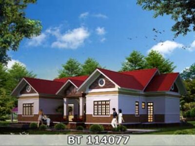 Mẫu biệt thự 10x25