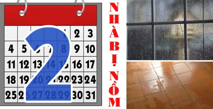 tại sao nhà bị nồm